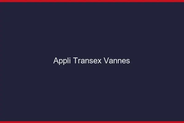 Appli Transex Vannes