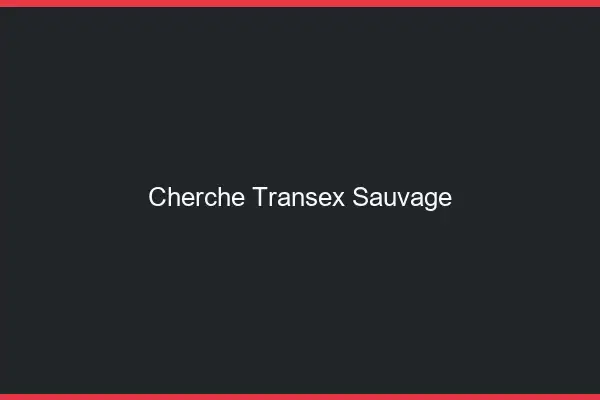 Cherche transex sauvage