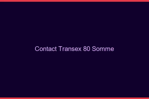 Contact Transex 80 Somme