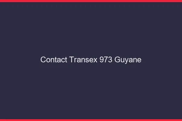 Contact Transex 973 Guyane