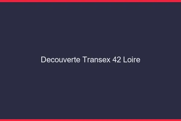 Découverte Transex 42 Loire