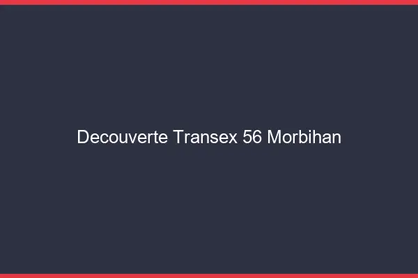 Découverte Transex 56 Morbihan