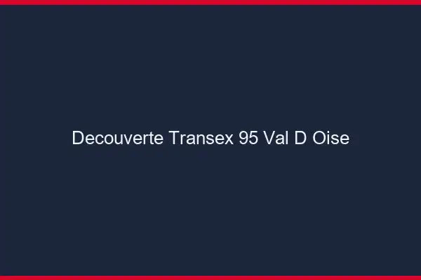 Découverte Transex 95 Val D Oise