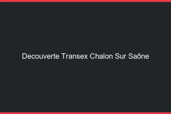 Découverte Transex Chalon-sur-Saône