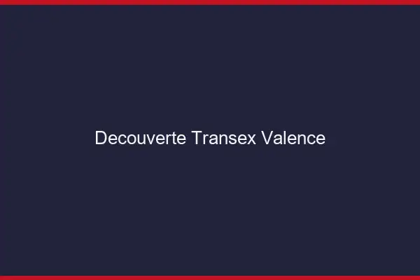 Découverte Transex Valence