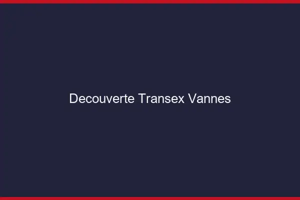 Découverte Transex Vannes