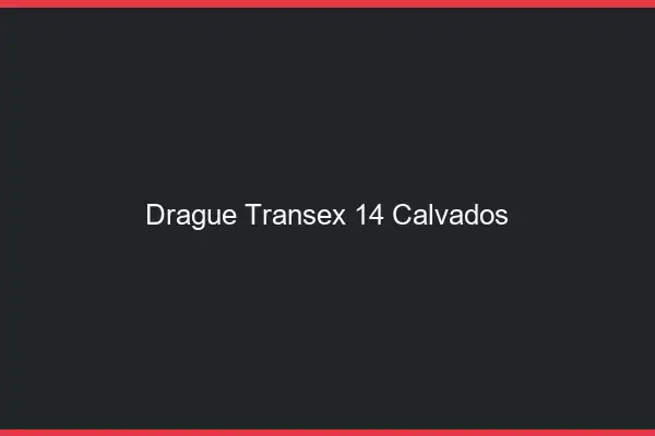 Drague Transex 14 Calvados