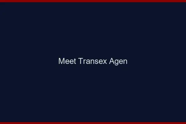 Meet Transex Agen