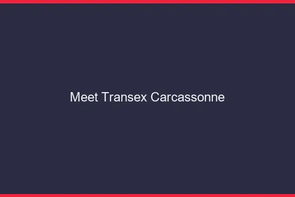 Meet Transex Carcassonne