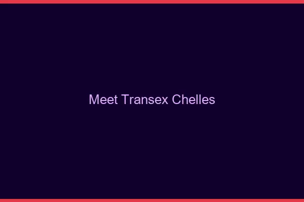 Meet Transex Chelles