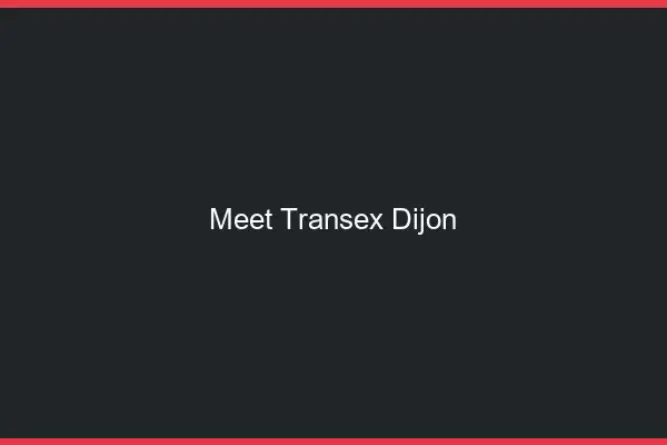 Meet Transex Dijon