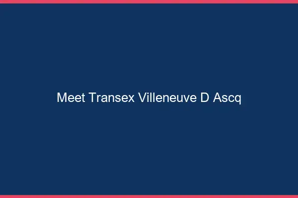 Meet Transex Villeneuve-d'Ascq