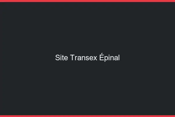 Site Transex Épinal