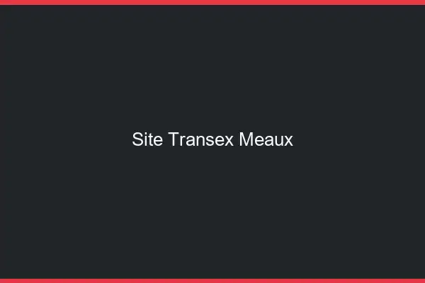 Site Transex Meaux