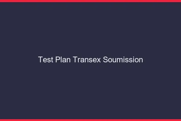 Test plan transex soumission